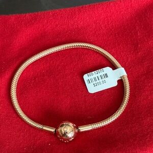 Pandora Rose Snake Bracelet